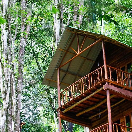 Ella Ecolodge Eksteriør billede