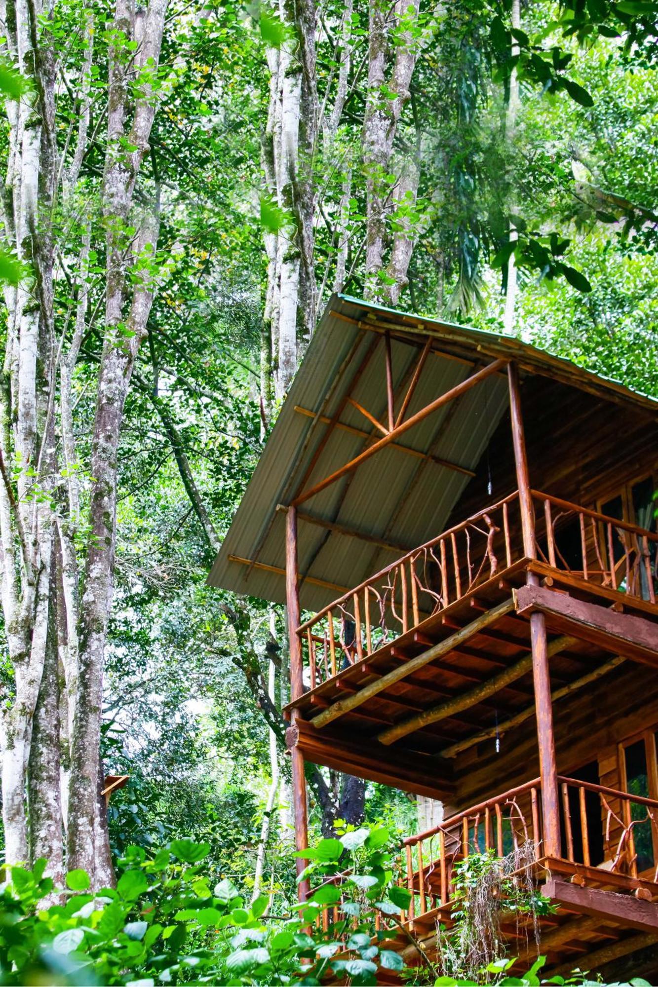 Ella Ecolodge Eksteriør billede