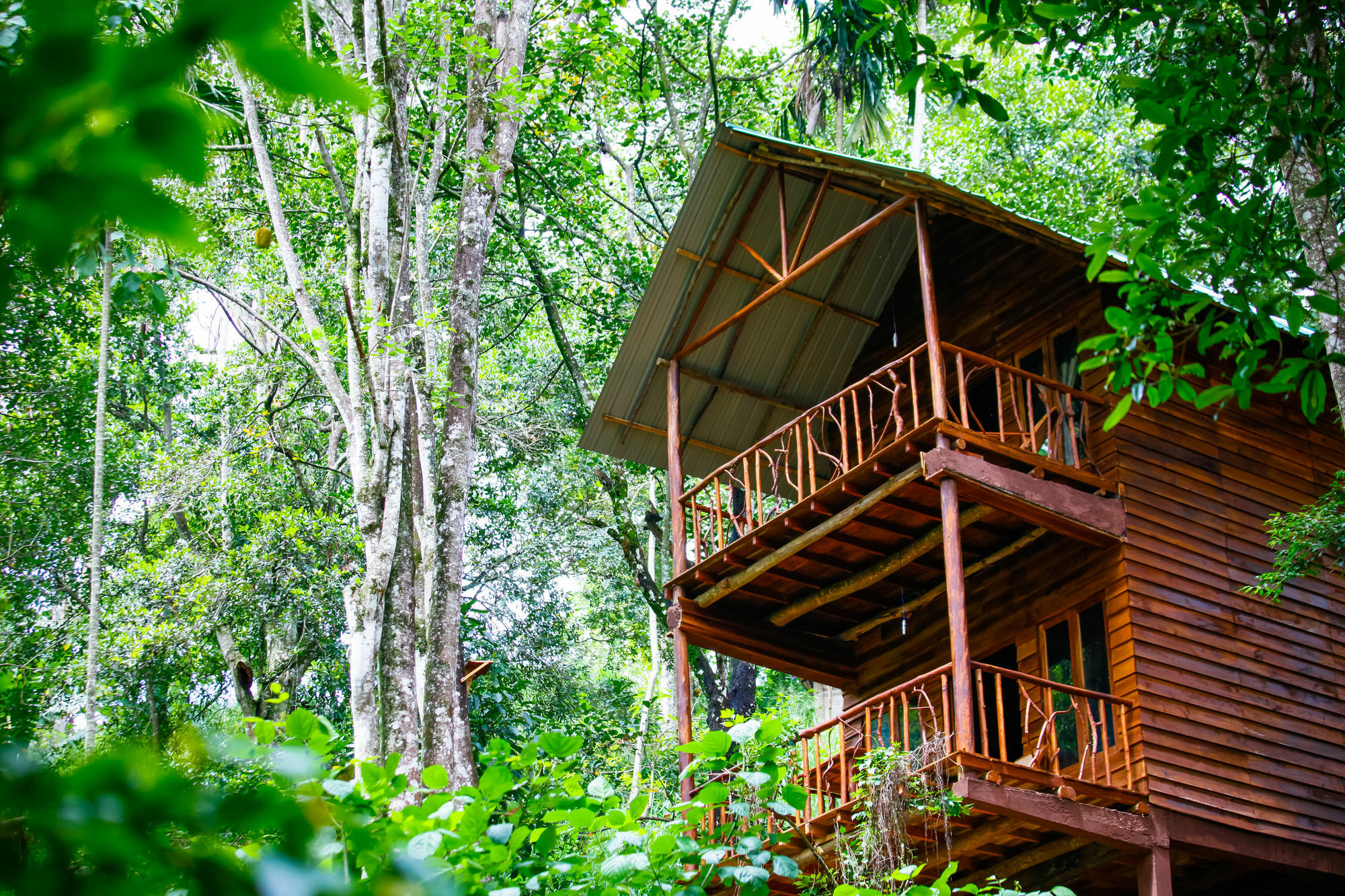 Ella Ecolodge Eksteriør billede