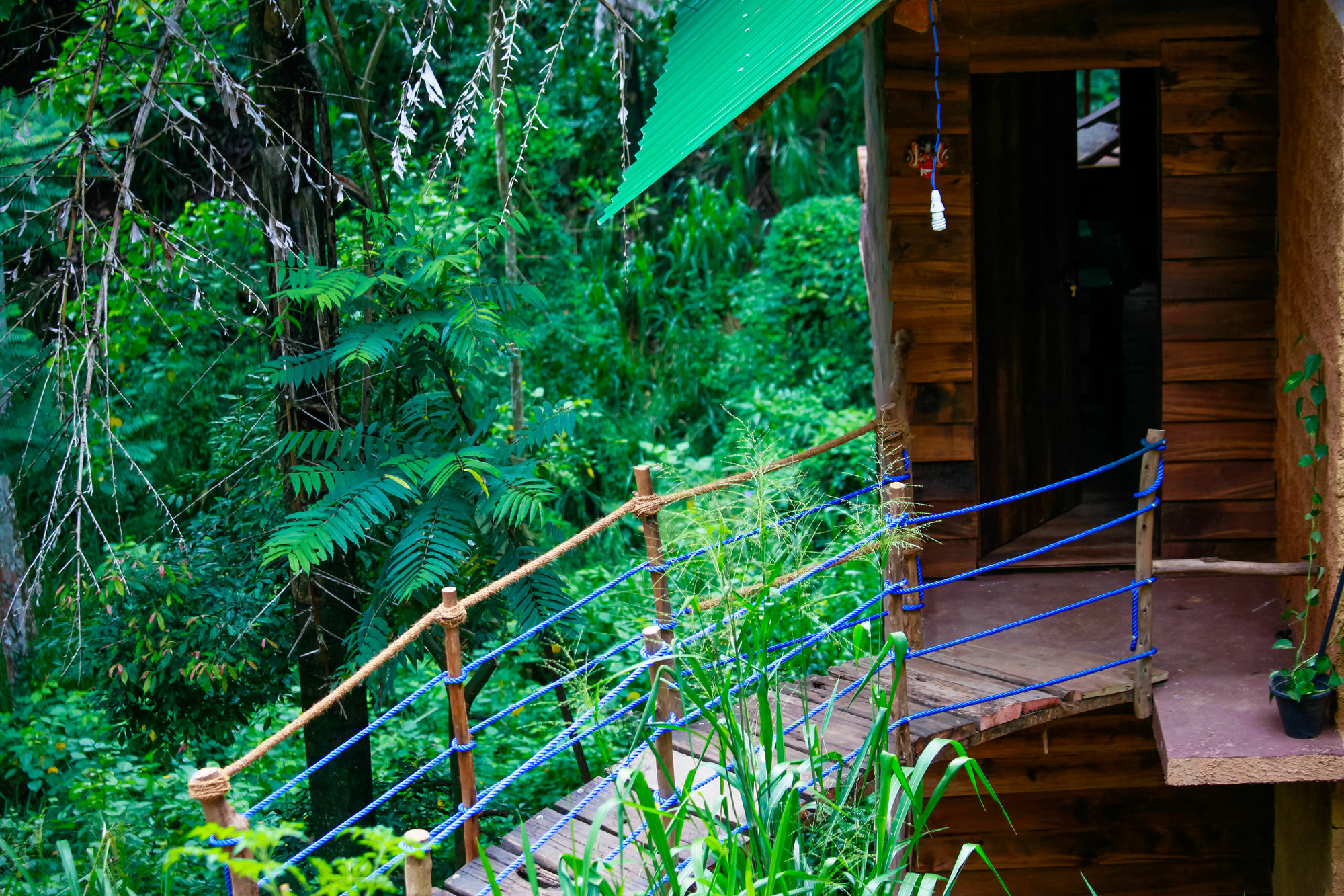 Ella Ecolodge Eksteriør billede