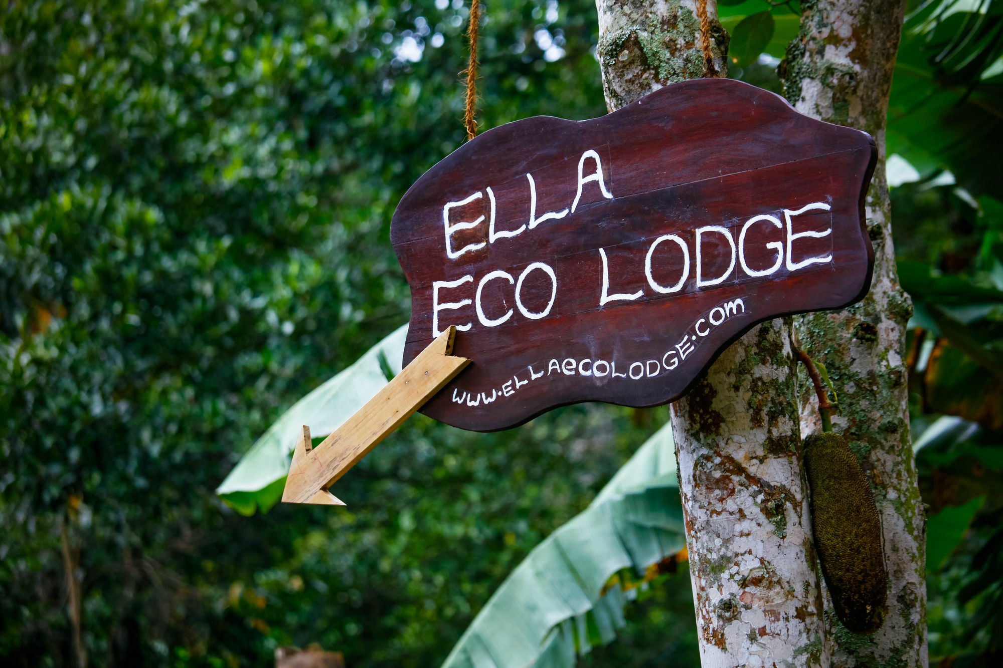 Ella Ecolodge Eksteriør billede