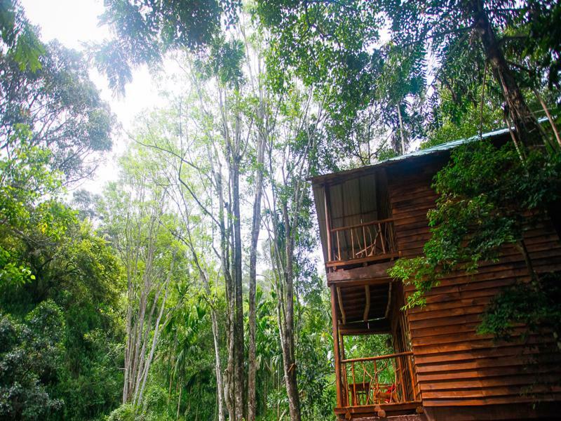 Ella Ecolodge Eksteriør billede