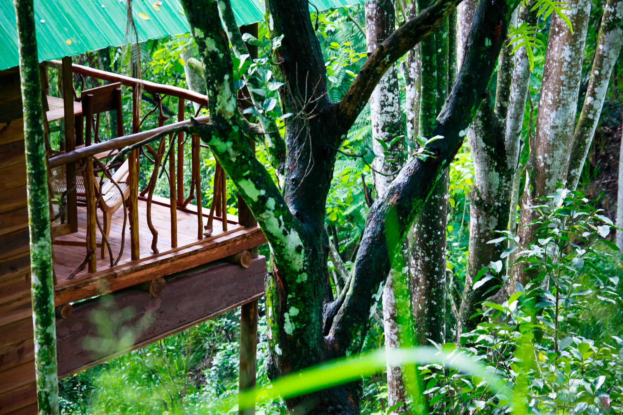 Ella Ecolodge Eksteriør billede