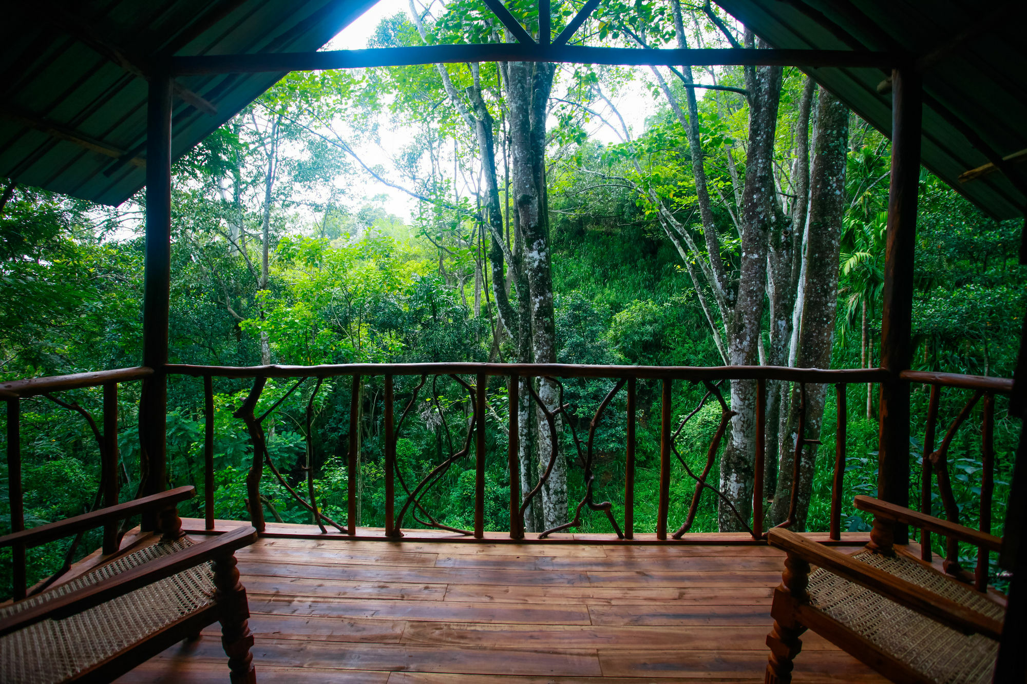 Ella Ecolodge Eksteriør billede